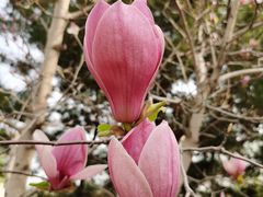 -大兴滨河森林公园