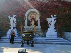 -龙口南山旅游景区