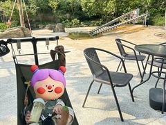 -杭州少年儿童公园