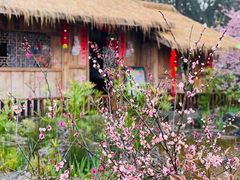 -南山植物园