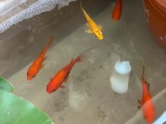 -合一茶坊(体育教育公寓B座店)