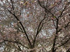 -维多利亚火车站