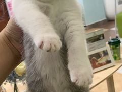-奈斯宠物医院·核磁CT·异宠专科·内镜(中南店)
