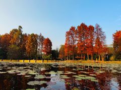 -西溪国家湿地公园