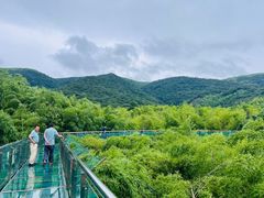 -陶祖圣境风景区