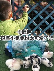 -萌宠亲子动物乐园(槐房万达店)