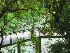 -广州市白云山风景名胜区