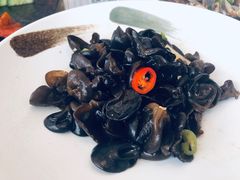 -骏莱海鲜鱼港(五角场店)
