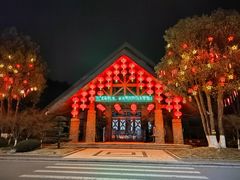 -铁山坪森林公园