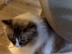 -白兔子密室(长寿路店)