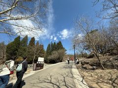 -白水寺森林公园