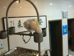 -亮河湾山庄
