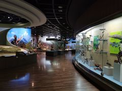 -陕西自然博物馆