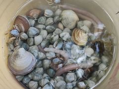 -北海金海湾红树林生态旅游区