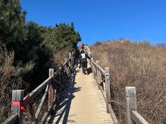 -阳台山自然风景区