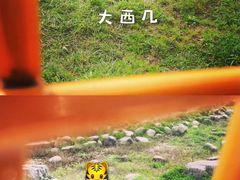 -上海野生动物园