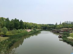 -上海长兴岛郊野公园
