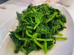 -锦水苑川菜馆(风格雅园店)
