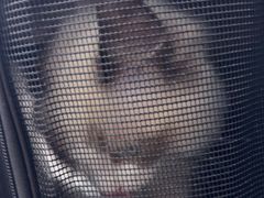 -艾贝尔宠物医院·24H转诊中心·肿瘤猫专科(江宁双龙店)