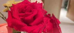点击看大图 -苑苑vbeauty科技美容SPA