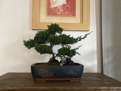 -京梟红茶楼(方恒购物中心店)