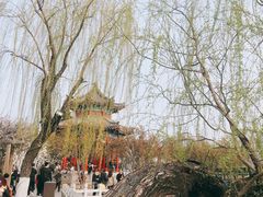 -济南大明湖景区