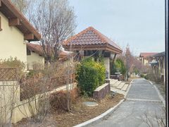 -大连金石滩绿发温泉假日酒店