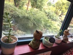 -Union瑜伽健康管理中心