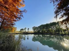-梁鸿国家湿地公园