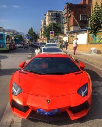 -蚂蚁婚车