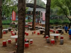 -东方巨龟苑景区