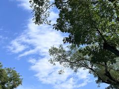 -恭王府博物馆