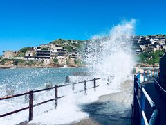 -东极岛景区-青浜岛