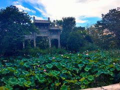 -西溪国家湿地公园