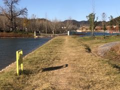 -千年银杏谷文化旅游区