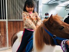 -乐融国际幼儿园(四季青校区)