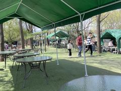 -尚庄度假村·庭台树下·户外烧烤·团建CS·轰趴营地(上庄水库店)