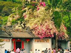 -深圳国际园林花卉博览园