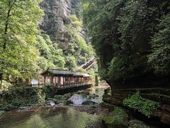 -碧峰峡风景区