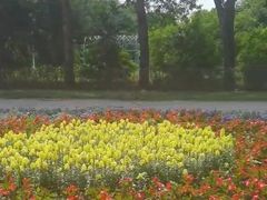 -黑龙江省森林植物园
