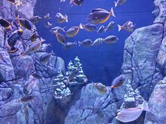 -成都浩海立方海洋公园