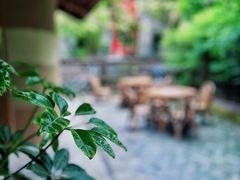 -铜锣湾·有麝自然香(重庆新天地店)