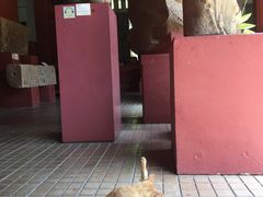 -柬埔寨国家博物馆