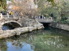 -趵突泉景区