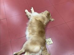 -和它·交个朋友·狗咖猫咖(爱琴海店)