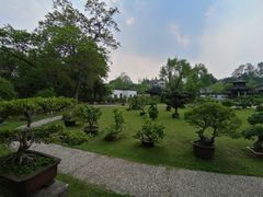 -盆景园(扬州大运河文化旅游度假区)
