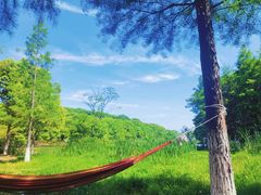 -黄陂区野村谷景区