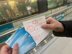 -龙阳路磁悬浮列车总站-停车场