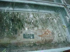 明代路面-北京路步行街-千年古道遗址