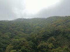 -梧桐山风景名胜区